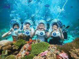 Khám phá Cù Lao Chàm: Thiên đường Đảo Xanh Biển Ngọc - Đảo Chàm Travel