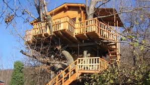 Se hai intenzione di costruire una casa su un albero, dovrai creare due supporti. La Casa Sull Albero Dell Ex Sindaco Dev Essere Abbattuta Glielo Intima L Ex Vicesindaco La Repubblica