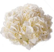 Well, worry no more all you have to do to is to order long stems roses in bulk online. Wholesale Flowers Wedding Flowers Wedding Bouquets Whole Blossoms