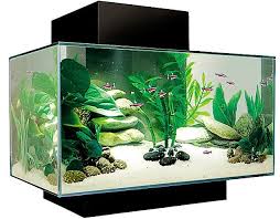 The Age Of Aquariums The 3 900 Fish Tank Fish Tank Buy Fish Tank Aquarium
