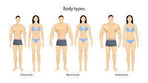 Ectomorph Body Type: Diet And Workouts For Weight Gain - V Shred