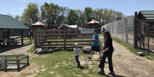 Dutch creek farm animal park is one of our most popular family stops and is perfect for any age of animal lover. The Whole Family Will Love This Immersive Animal Park In Shipshewana Shipshewana Auction Flea Market
