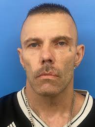 Traffic stop leads to drug and gun charges