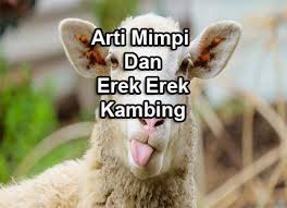 Di bawah ini adalah buku mimpi orang tua abjad bergambar yang berada diberbagai halaman. No Togel Kambing Di Buku Mimpi Dan Erek Erek Kambing Plesiran