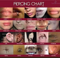 heres your ultimate guide when it comes to piercing charts