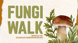 Adult Summer Camp: Fungi Walk