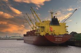 Image result for Brown 2021 Fleet