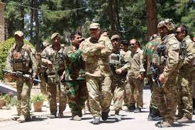 Military, karzai, and the taliban. War In Afghanistan News Photos Quotes Video Wiki Upi Com