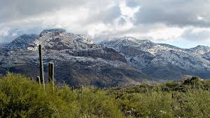 Snow On Mt Lemmon Winter Scenes Lemmon National Parks