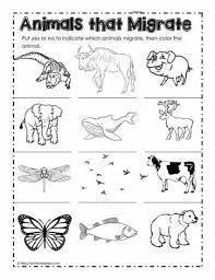 Animals That Migrate Animals That Hibernate Kindergarten Worksheets Kindergarten Worksheets Printable