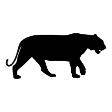 Black Silhouette Of Running Tiger On White Background Of Vector Tiger Silhouette Animal Silhouette Black Silhouette