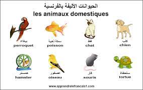 الحيوانات الاليفة بالفرنسية بالصور Comics Peanuts Comics Art