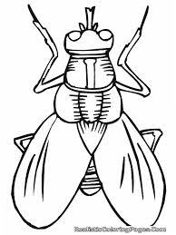 Cartoon Insect Coloring Pages Bug Coloring Pages Insect Coloring Pages Coloring Pages For Kids
