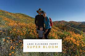 We did not find results for: A Look At The Amazing Poppy Super Bloom In Lake Elsinore Ca Trail To Peak