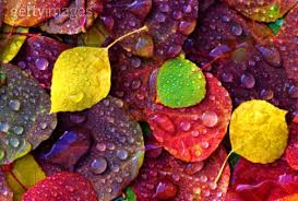 Image result for elements of art color