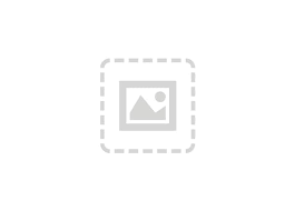 Ibm Cognos Business Intelligence Workgroup On Cloud Subscription License D1g93ll Business Applications Cdw Com