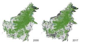 We did not find results for: Is Deforestation In Borneo Slowing Down Cifor Forests News
