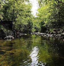 Jun 13, 2011 · • according to the stream order classification, a waterway that is between sixth order and twelfth order is considered a river. Difference Between Brook And Creek Compare The Difference Between Similar Terms