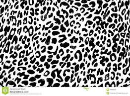 See more ideas about wallpaper, animal wallpaper, wallpaper direct. 47 Designer Animal Print Wallpaper On Wallpapersafari