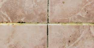Add white vinegar to a spray bottle and. A Step By Step Guide To Cleaning Mould And Mildew From Tile Grout