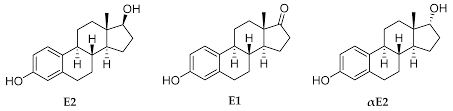 This supplement is a testosterone booster in its own right but is also designed to help reduce the symptoms of high estrogen levels. Molecules Free Full Text A Novel Prodrug Approach For Central Nervous System Selective Estrogen Therapy Html