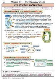 20 Free Printable Biology Worksheets Worksheet For Student In 2020 Biology Worksheet Teaching Biology Biology Lessons