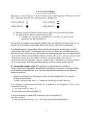 Similar to pedigree worksheet answer key, the answering program industry has seen a steady decline in current market share as a large number of. Kami Export Pedigree Worksheet Pdf Pedigree Worksheet Jenica Hancock Name 6 Period Date Interpreting A Human Pedigree Use The Pedigree Below To Course Hero