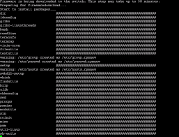 Upgrading Brocade Switch Firmware D8tadude