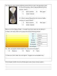 Worksheet 2 Urinary System Page 2 Theme 1