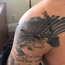 The meaning of those animals is that tj. Tj Dillashaw Battle Scars Added To My Hawk Surgery Went Well Torn Rotator Cuff Labrum And Some Biceps Tendon Repair Two Months From Now I M Getting My Left Shoulder Done It S