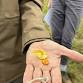 Family Fun-gi Day: Waxcap Walk event image