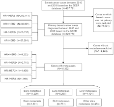 See how breast cancer metastasis affects the body, possible symptoms, and treatment. Impact Of Molecular Subtypes On Metastatic Behavior And Overall Survival In Patients With Metastatic Breast Cancer A Single Center Study Combined With A Large Cohort Study Based On The Surveillance Epidemiology And End