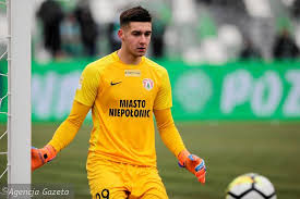 Puszcza niepołomice vs lechia gdańsk. Puszcza Niepolomice Wygrala Z Wisla Plock Pilka Nozna Sport Pl