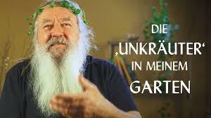 Leider lässt sich der trend auch im privaten hobbygarten immer häufiger beobachten. Die Unkrauter In Meinem Garten Youtube