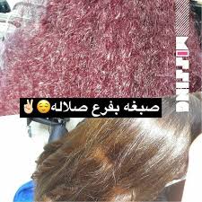 زهرة اللوتسلا بُدَّ وأنَّك قد سَّمعت عن زهرة اللُّوتس lotus flower، ولعلَّك تعتقد أنَّها مُجرد زهرة للزِّينة فقط. ØµØ¨ØºÙ‡ ØµØ§Ù„ÙˆÙ† Ø²Ù‡Ø±Ù‡ Ø§Ù„Ù„ÙˆØªØ³ Ù…Ø§Ø³ÙŠÙ‡ Salon Zahret Lotus Almassia Facebook