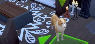 20 best pet mods for the sims 4 (all free) · 20. 20 Best Pet Mods For The Sims 4 All Free Fandomspot