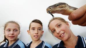 Snakes come out to play during big wet