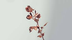 Maybe you would like to learn more about one of these? A Glimpse At Karite Rose Gold Aesthetic Gold Aesthetic Rose Gold