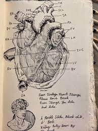 Love Drawing Vintage Anatomy Diagrams Darkacademia Sketch Book Art Journal Inspiration Art Sketchbook Dark academia is an aesthetic that revolves around classic literature, the pursuit of individuality, and a general passion for knowledge and learning. love drawing vintage anatomy diagrams