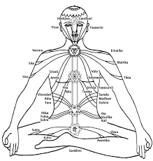 Major Nadis Basic Yoga Kundalini Yoga Chakra System