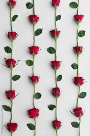 Absolutely stunning photo reproductions, but don't take our word for it, check. Cute Flowers And Wallpaper Image 6756929 On Favim Com