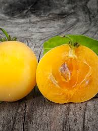 Image result for Dovyalis sp. A