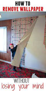 How To Remove Wallpaper Without Completely Losing Your Mind The Happy Housie Diy Home Repair Diy Home Improvement Home Repair