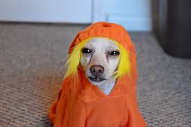 She was a skater girl, he said see you later, girl. 🛹