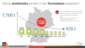 Wann sollten antibiotika gegen eine zahnentzündung eingesetzt werden? Brs Abgabe An Antibiotika In Der Tiermedizin Sinkt Weiter