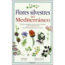 We did not find results for: Pdf Online Flores Silvestres Del Mediterraneo