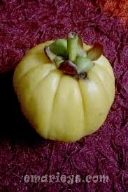 Buahnya memiliki bentuk seperti buah labu dengan ukuran mini. Buah Asam Keping Yang Banyak Khasiatnya Korang Tahu Tak