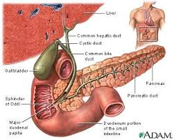 Gallstones Symptoms Attack Treatments Causes Prevention Gallbladder Gallbladder Symptoms Bile Duct
