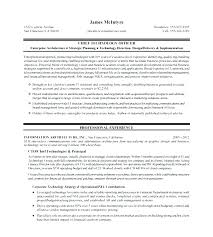 executive resume templates word – Resume Bank