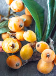 Loquat trees are perhaps the strongest subtropical fruit tree (with some competition for the top spot from the fejoia.) they are evergreen and once established. Loquat Fruit Healthier Steps
